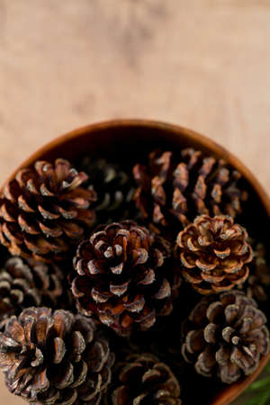 pine cones and needlesの写真素材