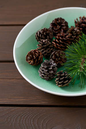 pine cones with branch on a white backgroundの写真素材