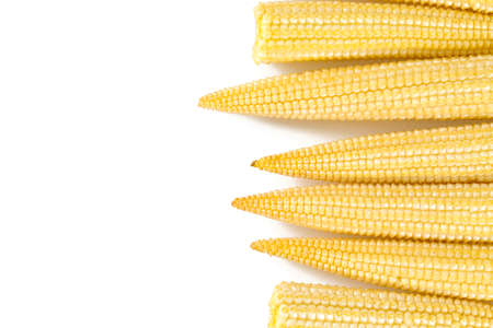 baby corn isolated on whiteの写真素材