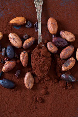 cocoa beans and powder の写真素材
