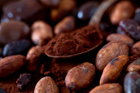 cocoa and chocolate candies