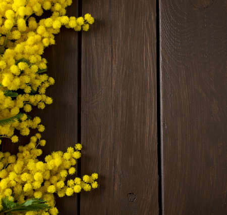 twig of mimosa on wooden surfaceの写真素材