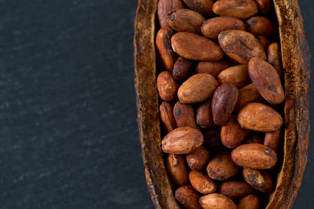 cocoa beansの写真素材