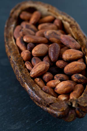 cocoa beansの写真素材