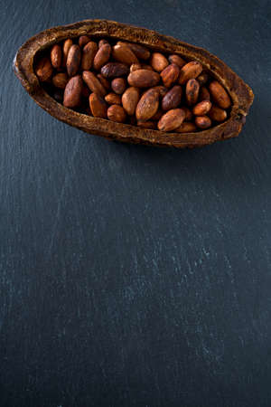 cocoa beansの写真素材