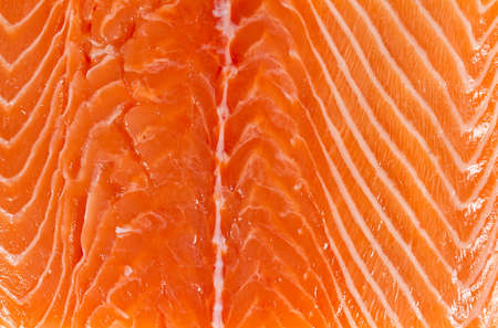 salmon fillet close upの写真素材