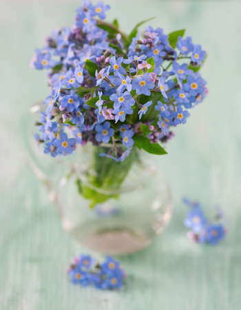 forget-me-not flowerの写真素材