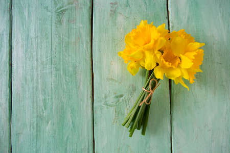 yellow daffodils on turquoise wooden surfaceの写真素材
