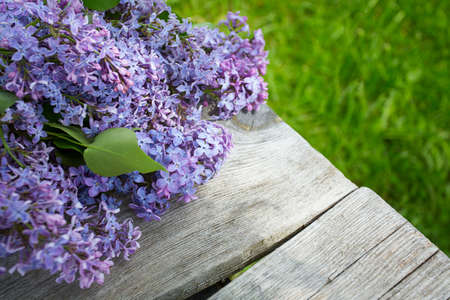 liac on wooden surfaceの写真素材