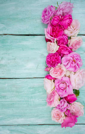 beautiful garden roses on turquoise wooden surfaceの写真素材