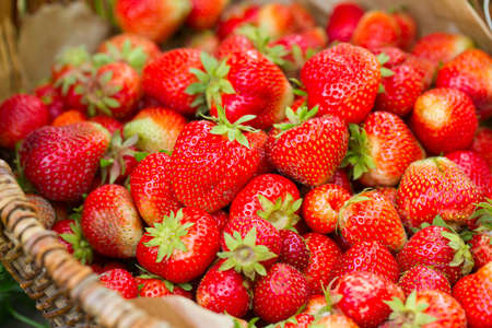 strawberries in a basketの写真素材