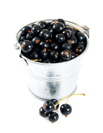 black currant isolatedの写真素材