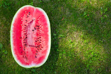 half of water melon on green garden grassの写真素材