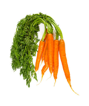 carrots isolated on whiteの写真素材