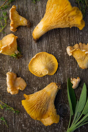 chanterelle mushrooms on wooden surfaceの写真素材