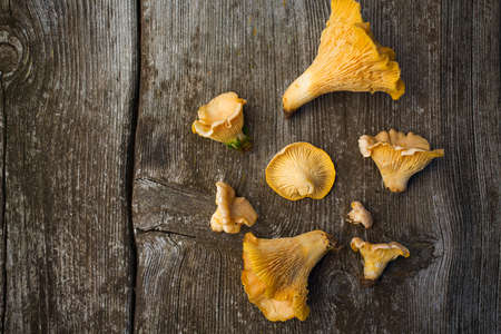 chanterelle mushrooms on wooden surfaceの写真素材