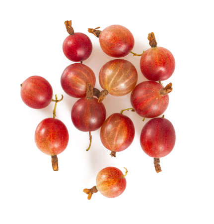 Red gooseberry isolated on white backgroundの写真素材