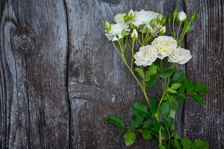 beautiful white roses on wooden surfaceの写真素材