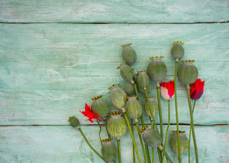 poppy heads on wooden surfaceの写真素材