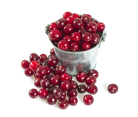 cherry isolated on whiteの写真素材