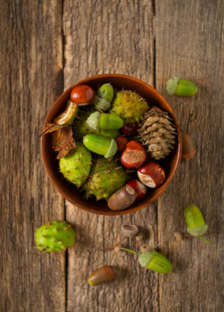 Acorns and chestnuts on wooden rustic tableの写真素材