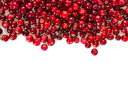 cranberries isolated on whiteの写真素材