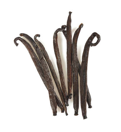 vanilla bean isolated