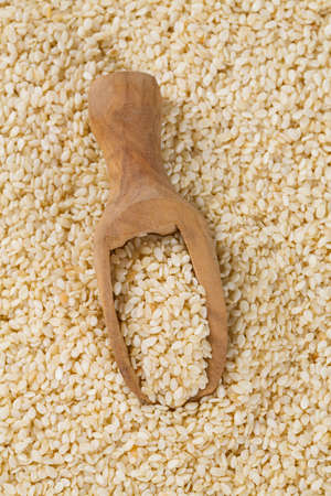 sesame seeds isolated on whiteの写真素材