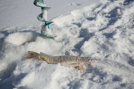 winter fishingの写真素材
