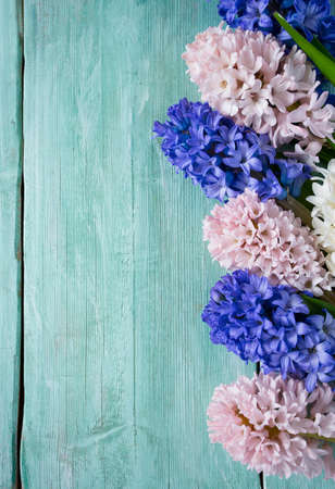 beautiful hyacinth flower on turquoise wooden surfaceの写真素材