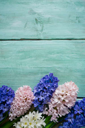 beautiful hyacinth flower on turquoise wooden surfaceの写真素材