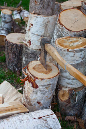 Logs of birch firewoodの写真素材