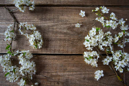 spring blossoms on wooden surfaceの写真素材