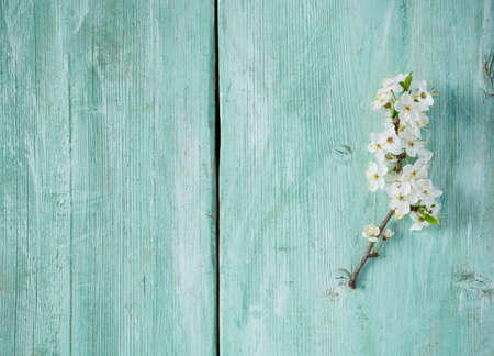spring blossoms on wooden surfaceの写真素材