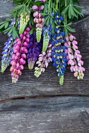 variety of lupin flowers on wooden surfaceの写真素材