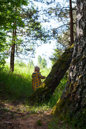 cute toddler girl in woods