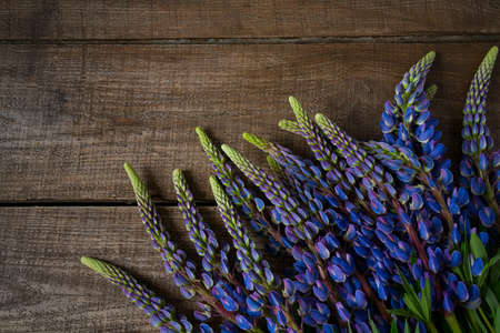 lupines on wooden surfaceの写真素材