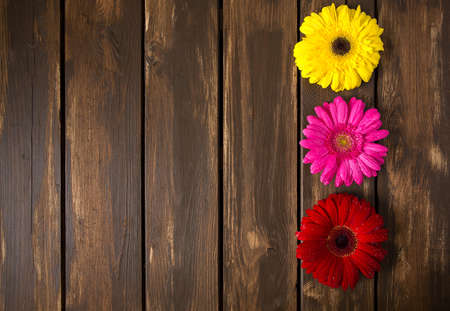 gerbera flowers on wooden surfaceの写真素材
