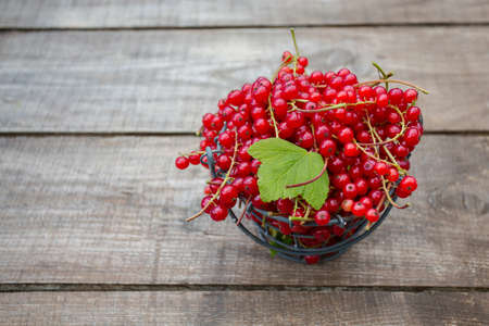 red currant on wooden surfaceの写真素材