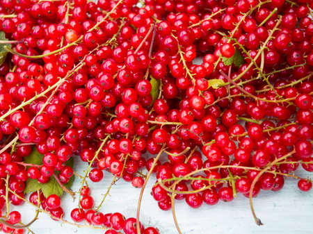 red currant on wooden surface