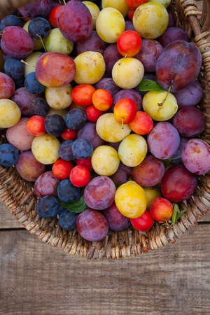 variety of plums on wooden surfaceの写真素材