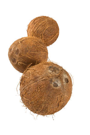 Coconut isolated on whiteの写真素材