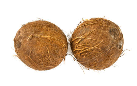 Coconut isolated on whiteの写真素材