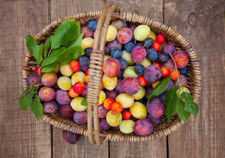 Variety of plums on wooden surfaceの写真素材