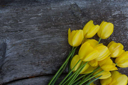 beautiful fresh tulips on rustic wooden surfaceの写真素材