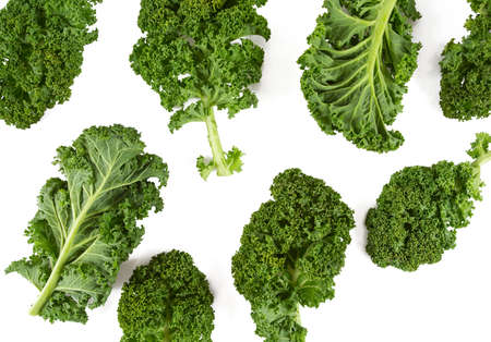 kale isolated on whiteの写真素材