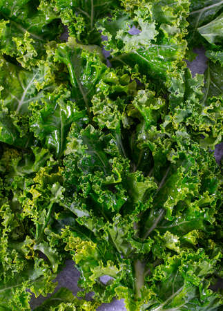 raw green kaleの写真素材