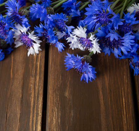 Blue Cornflower Herb on wooden surfaceの写真素材