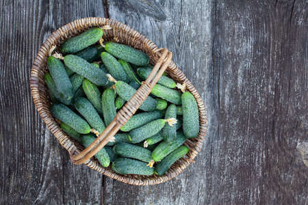 fresh cucumbers on a dark wooden surfaceの写真素材