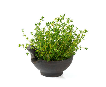 fresh thymes in a black mortarの写真素材